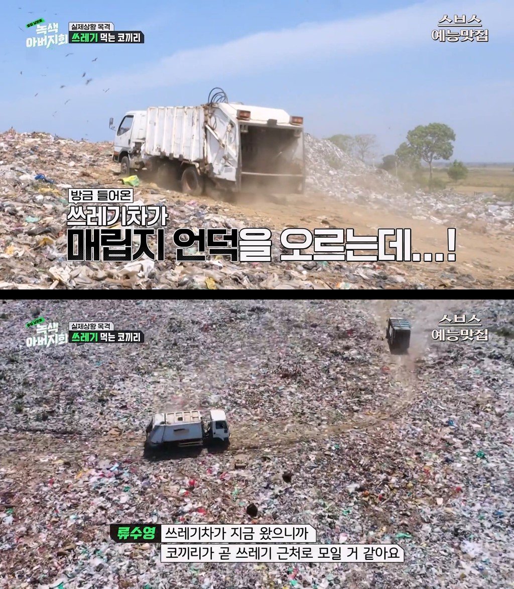 1.jpg 마약처럼 쓰레기에 중독된 코끼리들.jpg