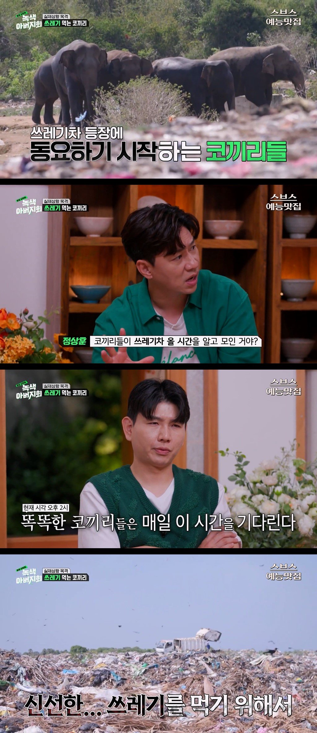 uLmDvA.jpg 마약처럼 쓰레기에 중독된 코끼리들.jpg