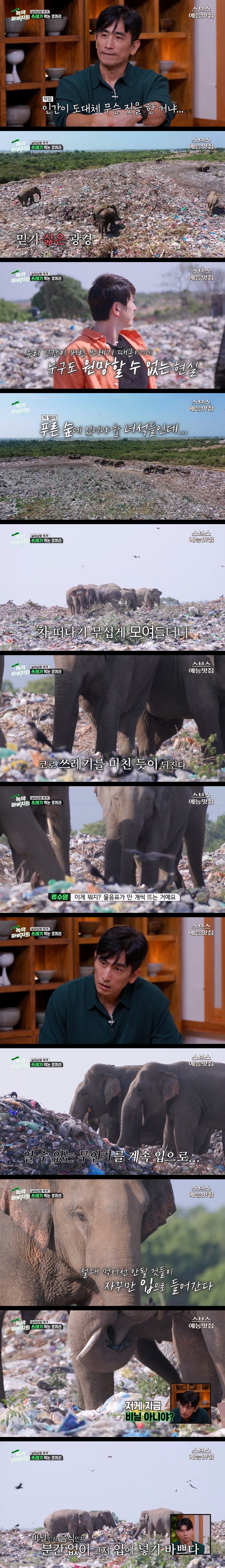 zjouzF.jpg 마약처럼 쓰레기에 중독된 코끼리들.jpg