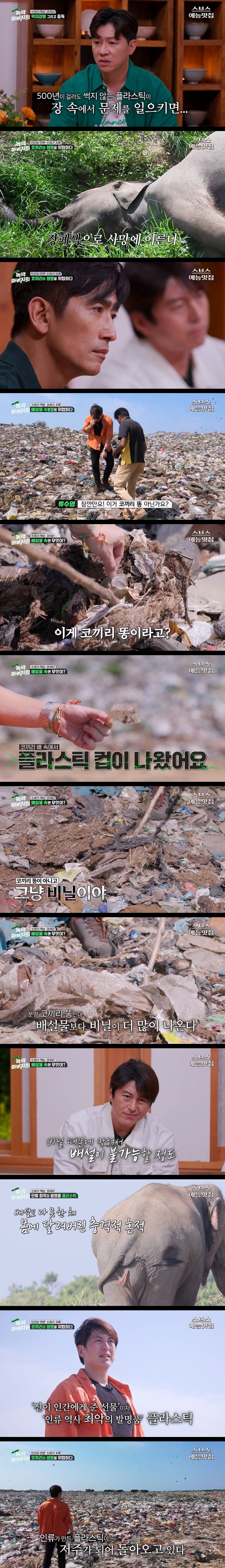 CbzTAC.jpg 마약처럼 쓰레기에 중독된 코끼리들.jpg