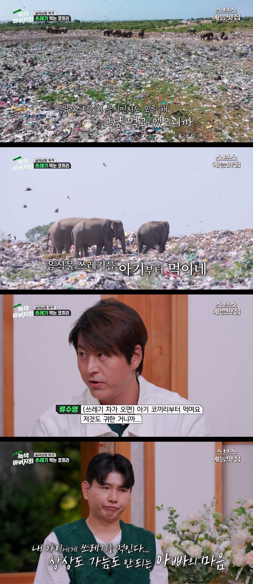 jHGTjC.jpg 마약처럼 쓰레기에 중독된 코끼리들.jpg