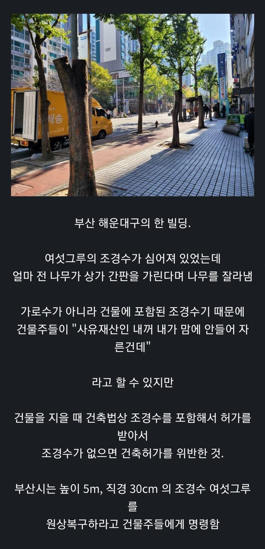 Screenshot_20231124_134514_Chrome.jpg