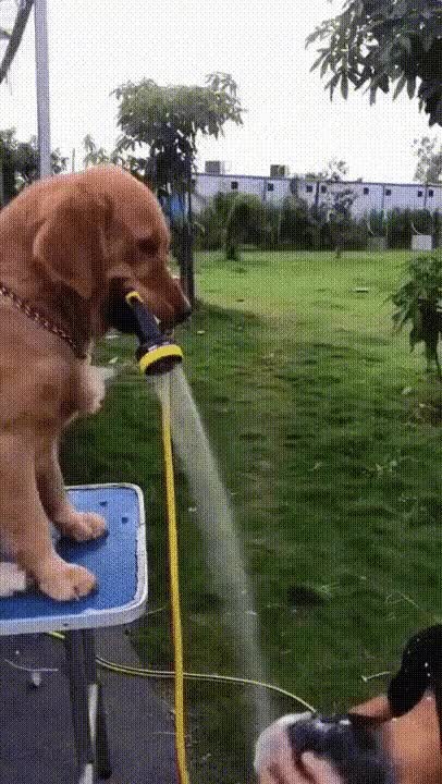 8f3e3db51c9e1b9f8660d03032543ff8_1632265794_2353.gif