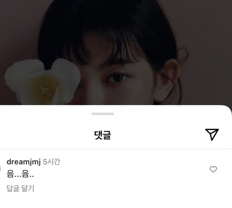 뉴진스 게시글에 음.... 달고다니는 스타쉽 본부장 | 인스티즈