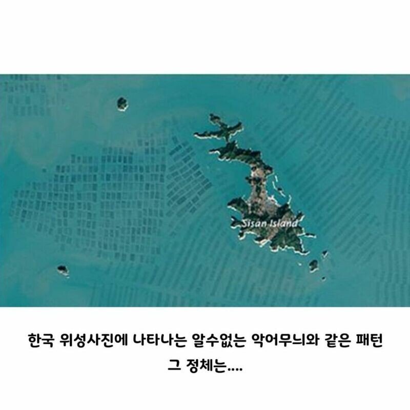 해외에서 신기해하던 국내 위성사진