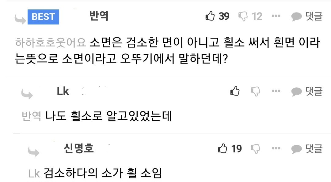 의외로 모르는 '소면'의 뜻 3번째 사진