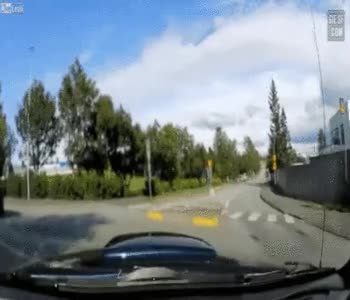 3.gif