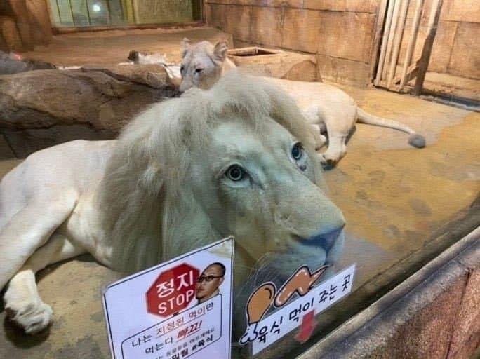 24post.co.kr_002.jpg