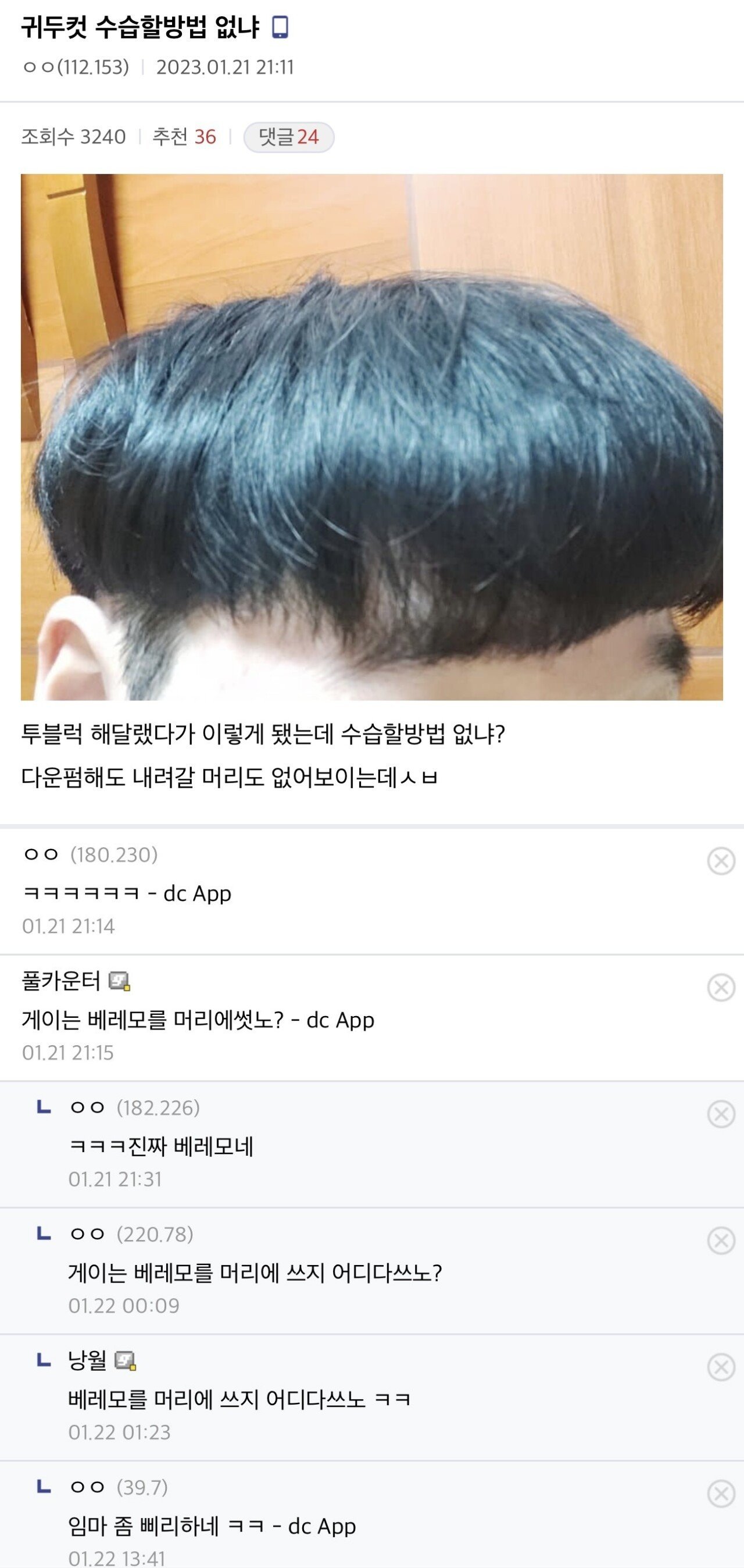Zombodroid_30032023125250.jpg 디시 헤어갤 레전드 글 모음.jpg