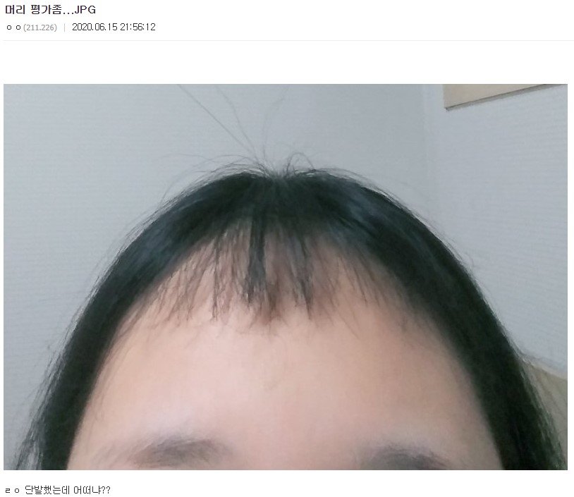 172e406184e12bed1.jpg 디시 헤어갤 레전드 글 모음.jpg