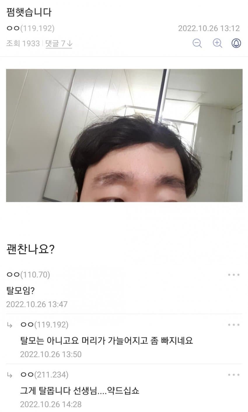 2022170755.jpg 디시 헤어갤 레전드 글 모음.jpg