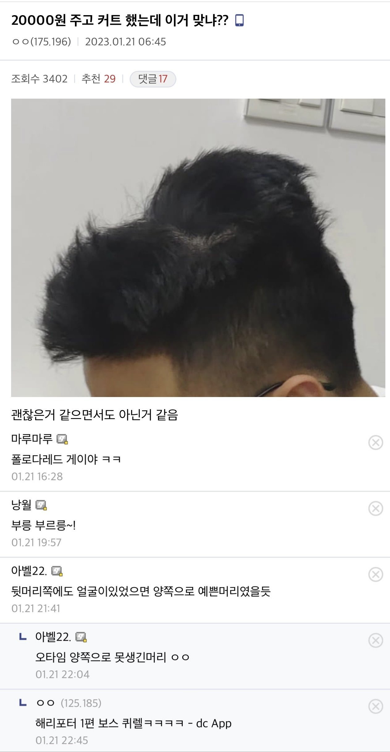 Zombodroid_30032023125159.jpg 디시 헤어갤 레전드 글 모음.jpg