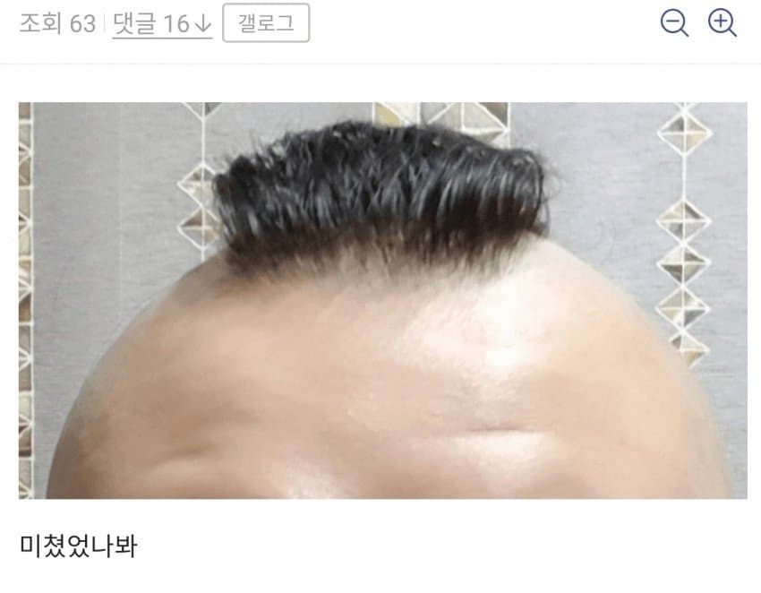 1667138456.jpg 디시 헤어갤 레전드 글 모음.jpg