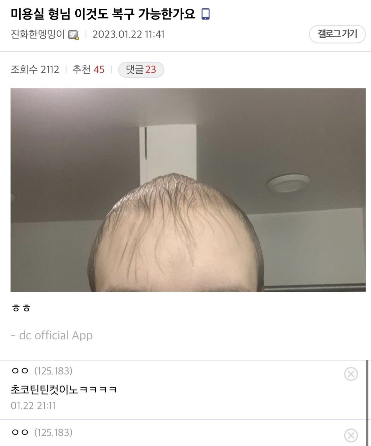 Zombodroid_30032023125314.jpg 디시 헤어갤 레전드 글 모음.jpg