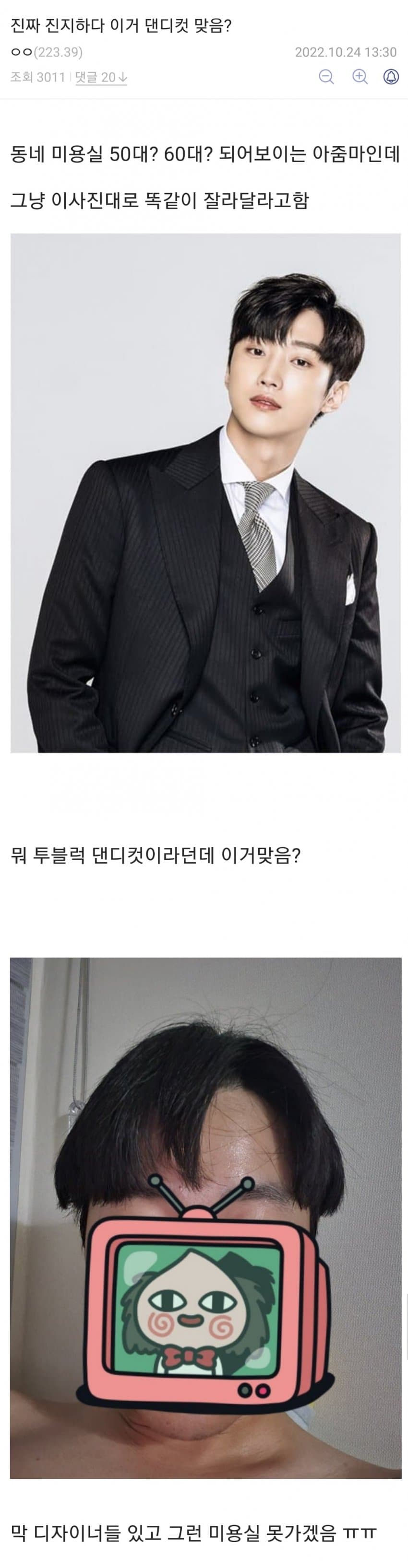 1667060405-6.jpg 디시 헤어갤 레전드 글 모음.jpg