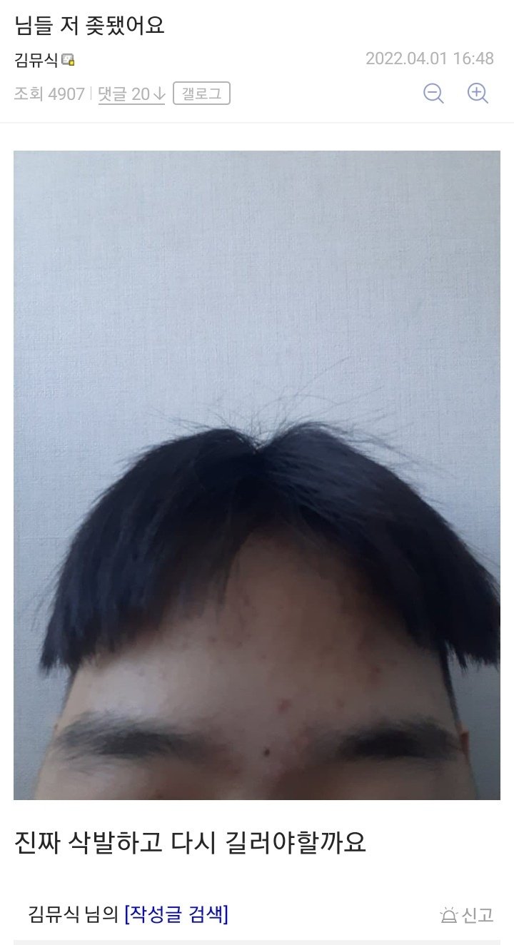 db17ba952d37249ec912688c46287d7c6db86ece.jpeg.jpg 디시 헤어갤 레전드 글 모음.jpg