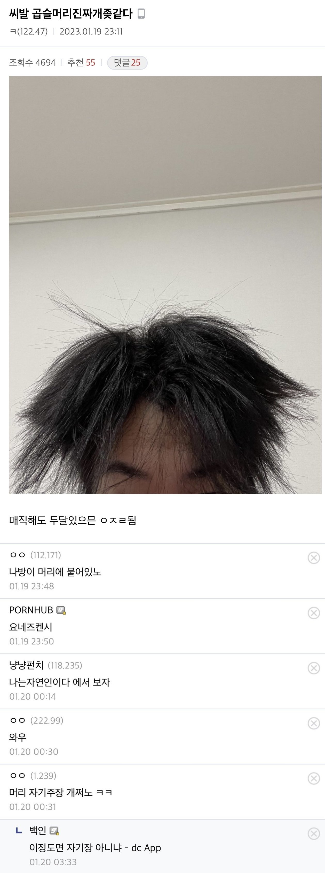 Zombodroid_30032023125052.jpg 디시 헤어갤 레전드 글 모음.jpg