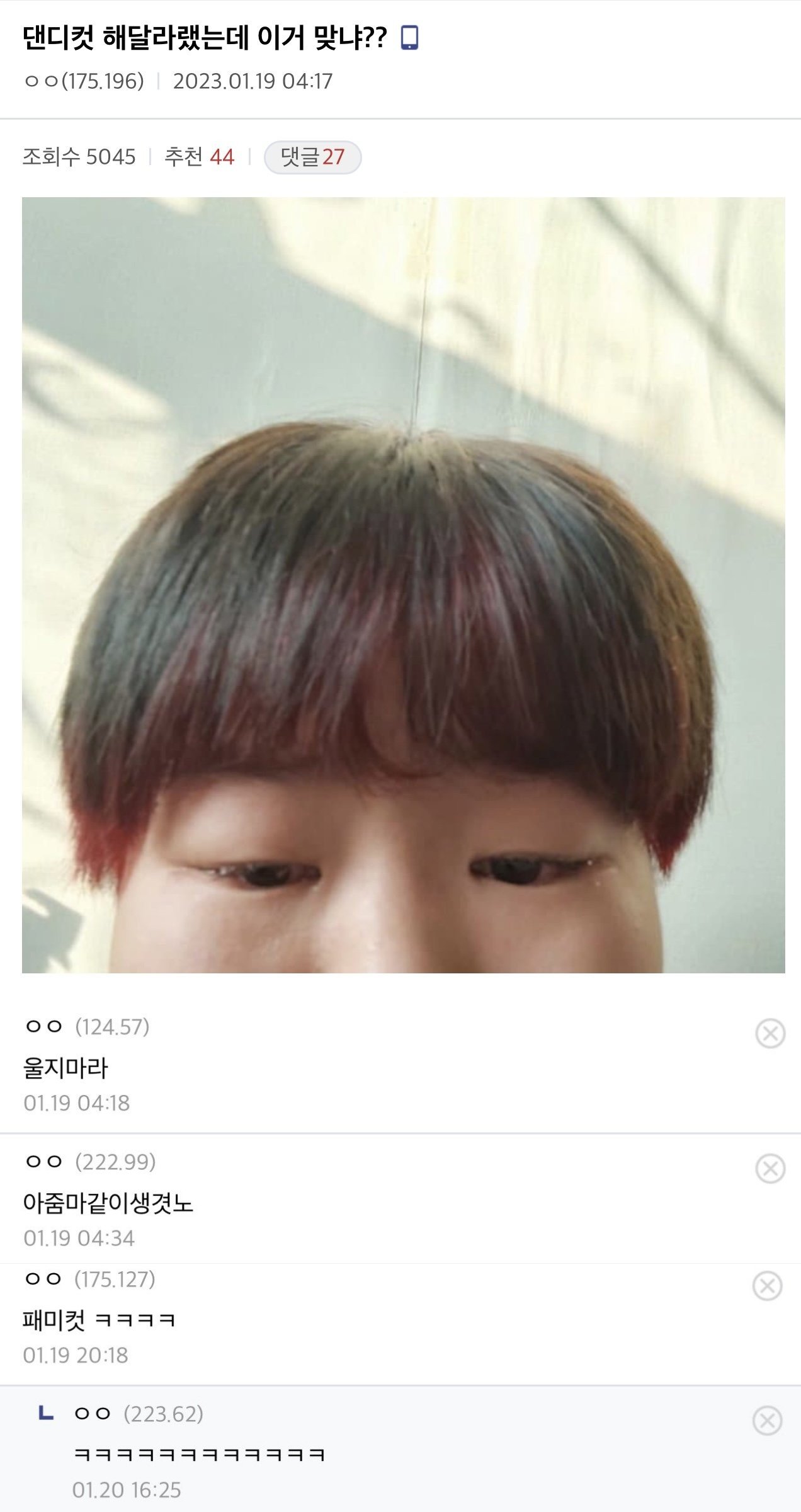 Zombodroid_30032023124947.jpg 디시 헤어갤 레전드 글 모음.jpg