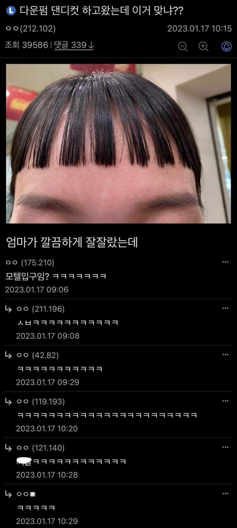 Zombodroid_30032023125618.jpg 디시 헤어갤 레전드 글 모음.jpg