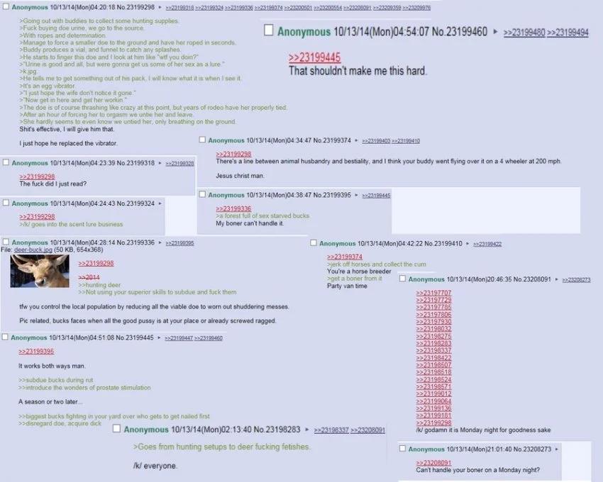 2.webp.jpg