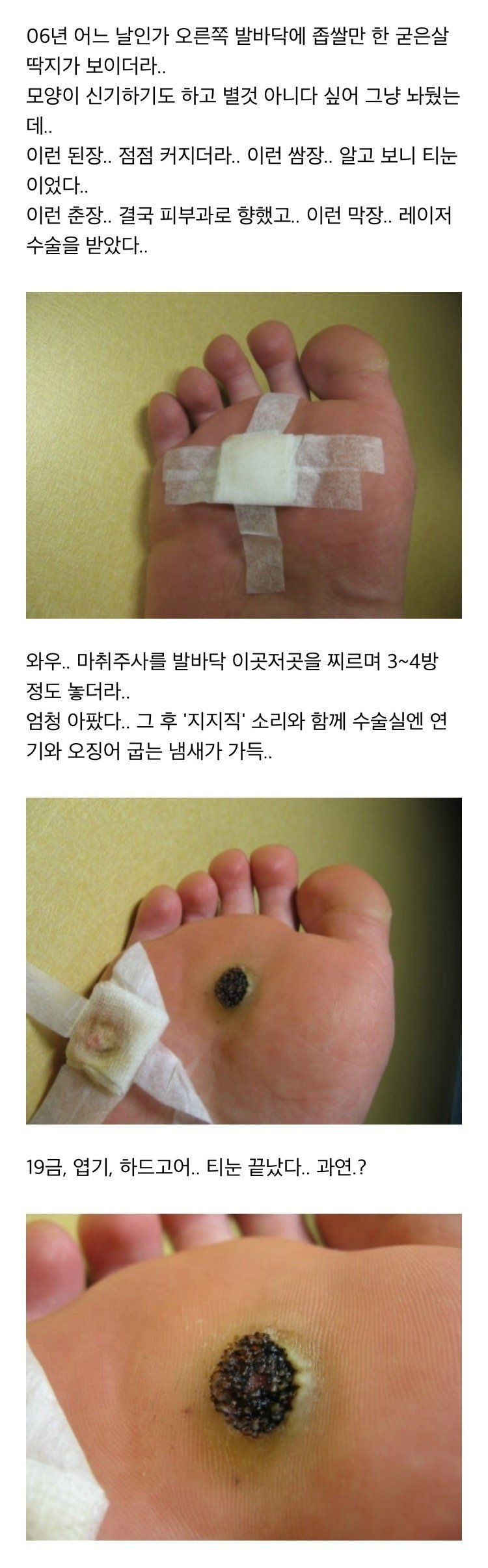 btc4b51806c0b59fddd70690a8de71c509.jpg
