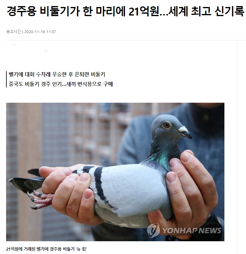비둘기 경주.png 한때 존재했던 신기한 올림픽 종목들을.araboja
