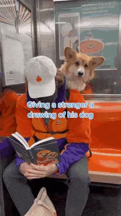 001.gif