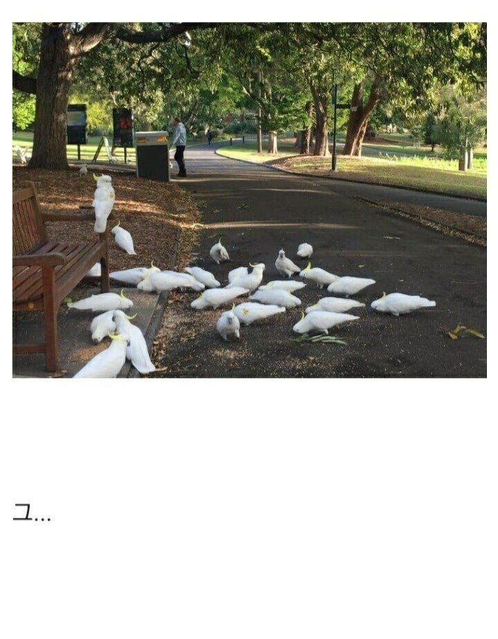 3.jpeg