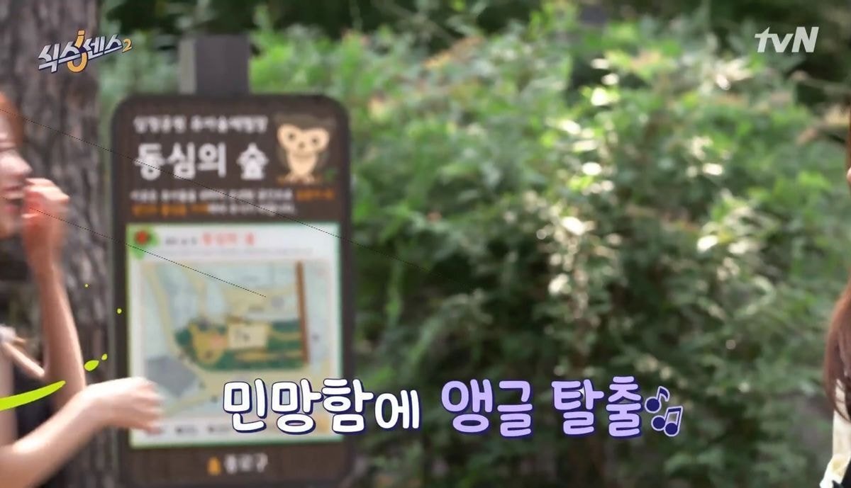 김짤.com_009.jpg