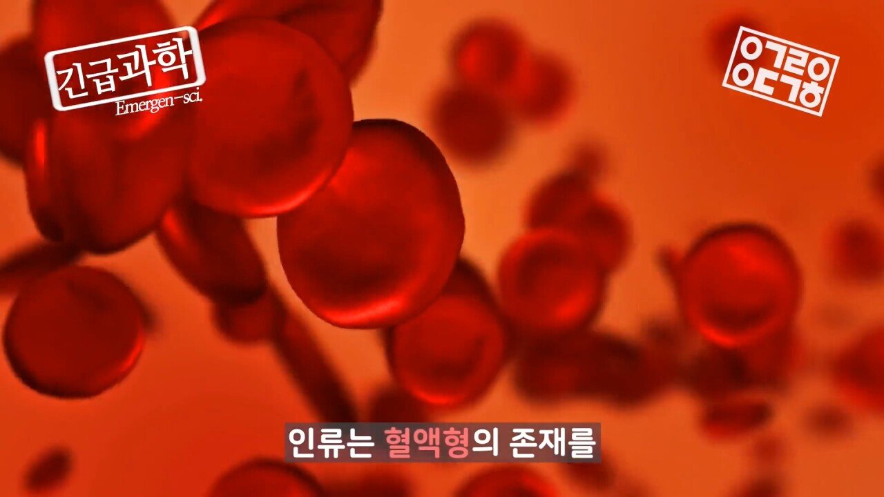 역사상 가장 많은 목숨을 살린 연구 - 꾸르