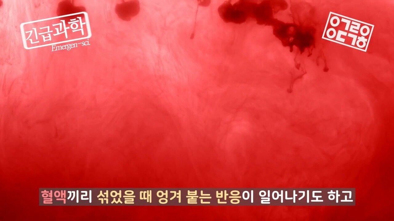 역사상 가장 많은 목숨을 살린 연구 - 꾸르