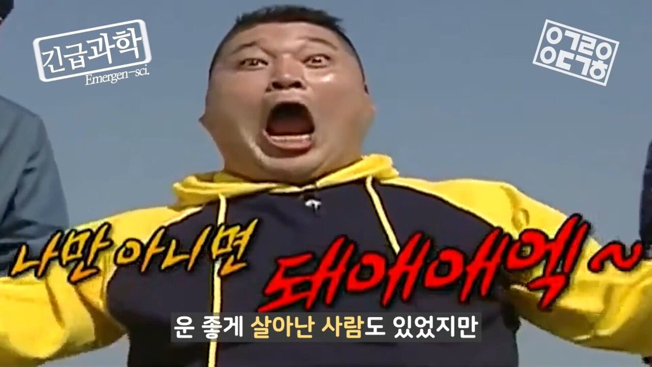 역사상 가장 많은 목숨을 살린 연구 - 꾸르