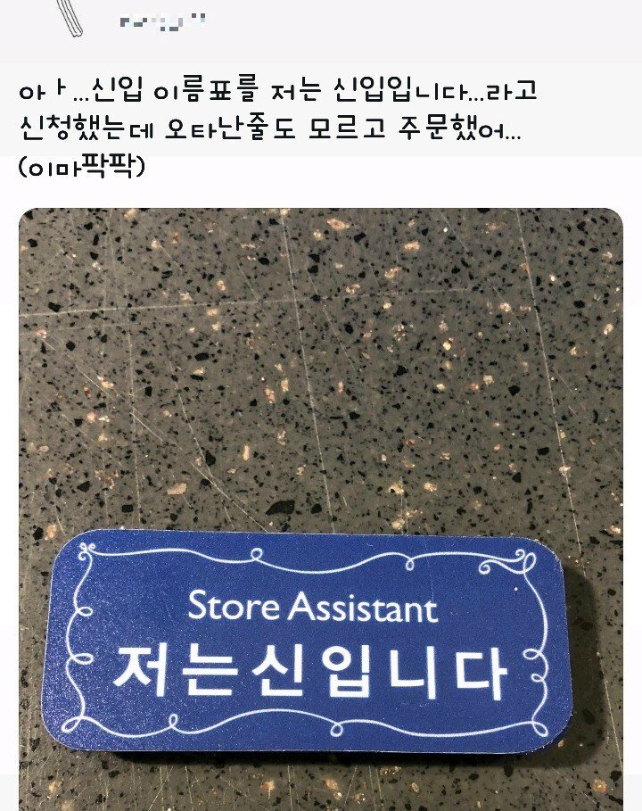 카미다.jpeg