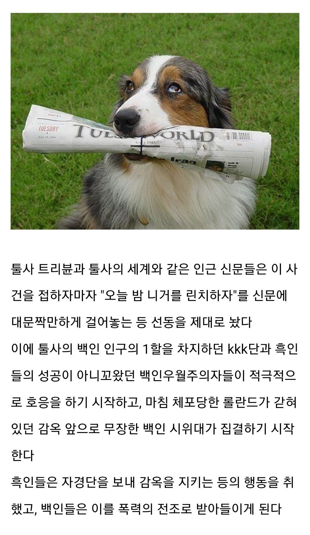 미국에서 흑인들끼리 잘 살면 벌어지는 일 5번째 사진