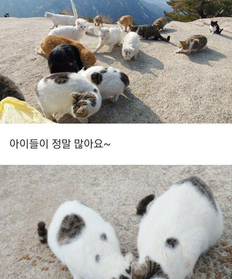 24post.co.kr_003.png