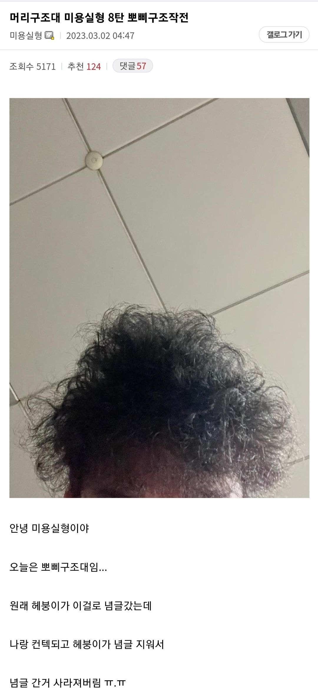 s001.jpg