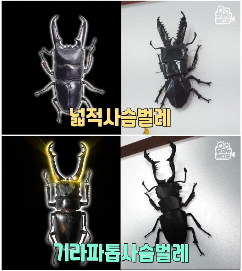 종이 한 장으로 모든 걸 다 접어버리는 남자 - 꾸르
