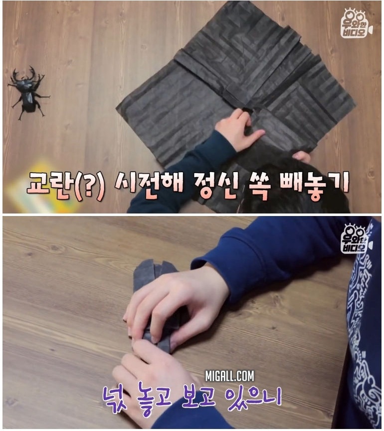 종이 한 장으로 모든 걸 다 접어버리는 남자 - 꾸르