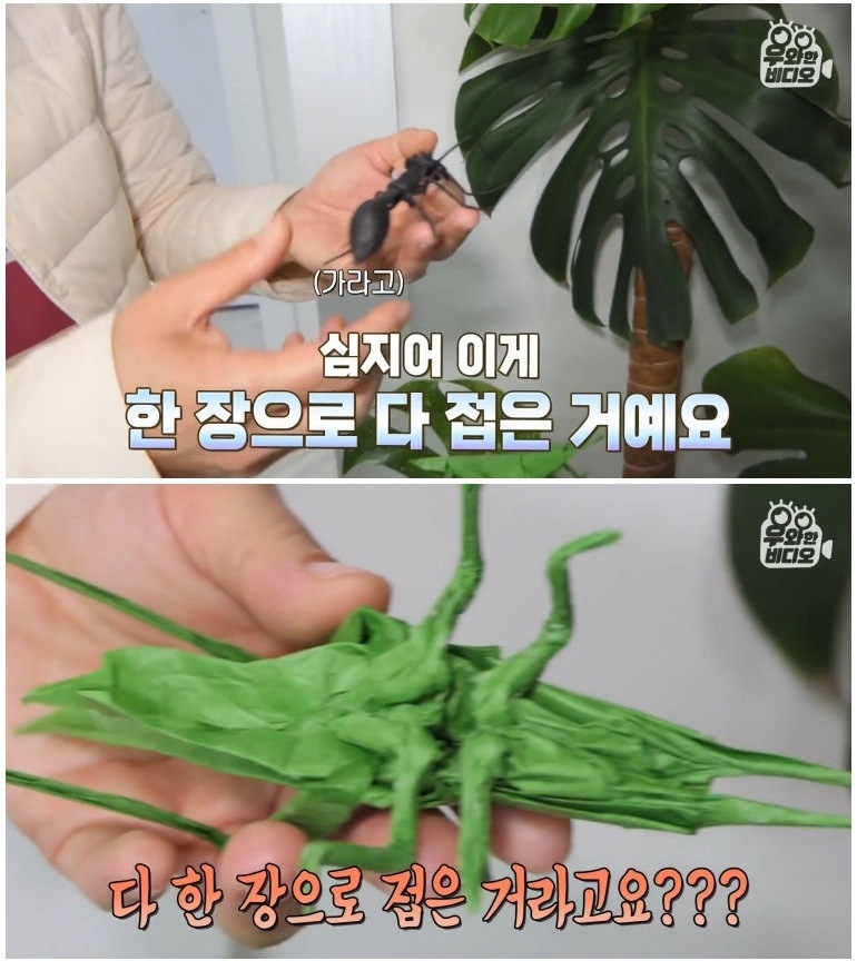 종이 한 장으로 모든 걸 다 접어버리는 남자 - 꾸르