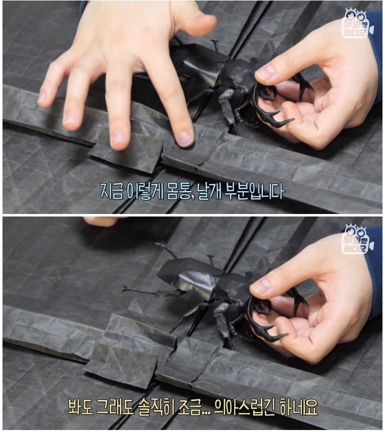 종이 한 장으로 모든 걸 다 접어버리는 남자 - 꾸르