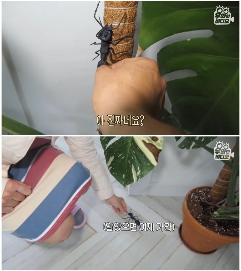 종이 한 장으로 모든 걸 다 접어버리는 남자 - 꾸르
