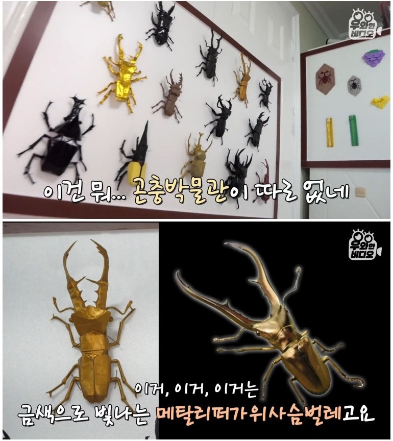 종이 한 장으로 모든 걸 다 접어버리는 남자 - 꾸르