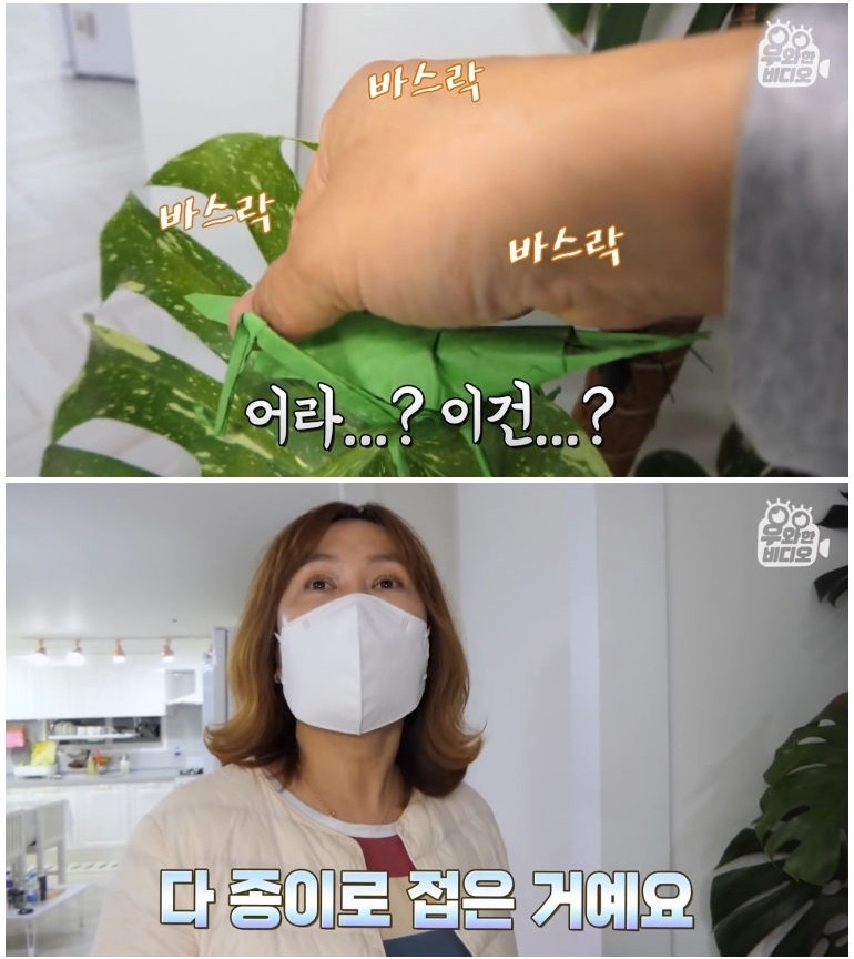 종이 한 장으로 모든 걸 다 접어버리는 남자 - 꾸르