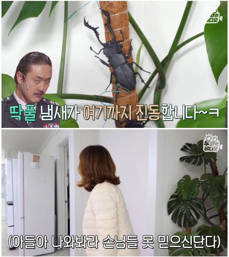 종이 한 장으로 모든 걸 다 접어버리는 남자 - 꾸르
