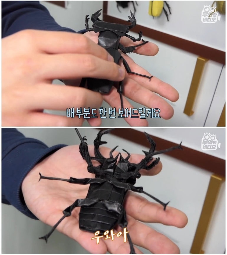 종이 한 장으로 모든 걸 다 접어버리는 남자 - 꾸르
