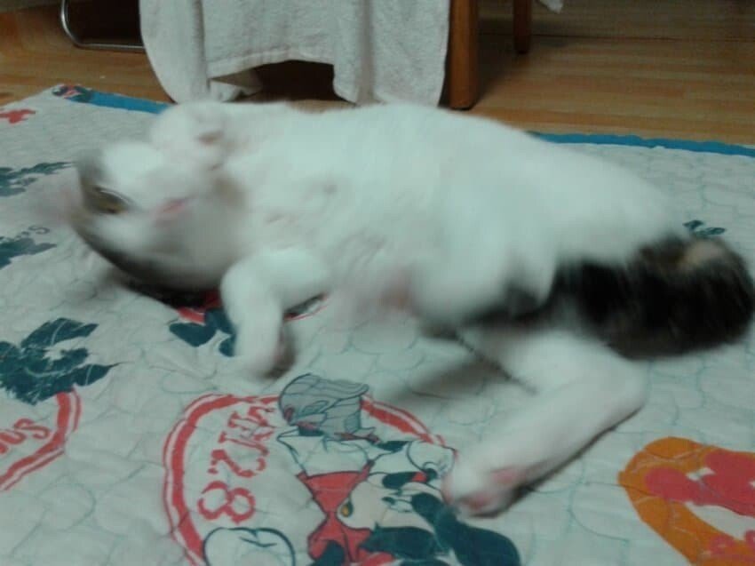 24post.co.kr_002.jpg