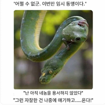 37df79de4556d15b75798719e8efe80e.png