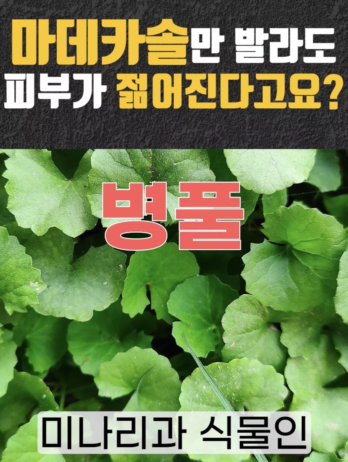 의사 피셜 ‘이거’ 바르면 피부가 젊어진다는 사실.jpg