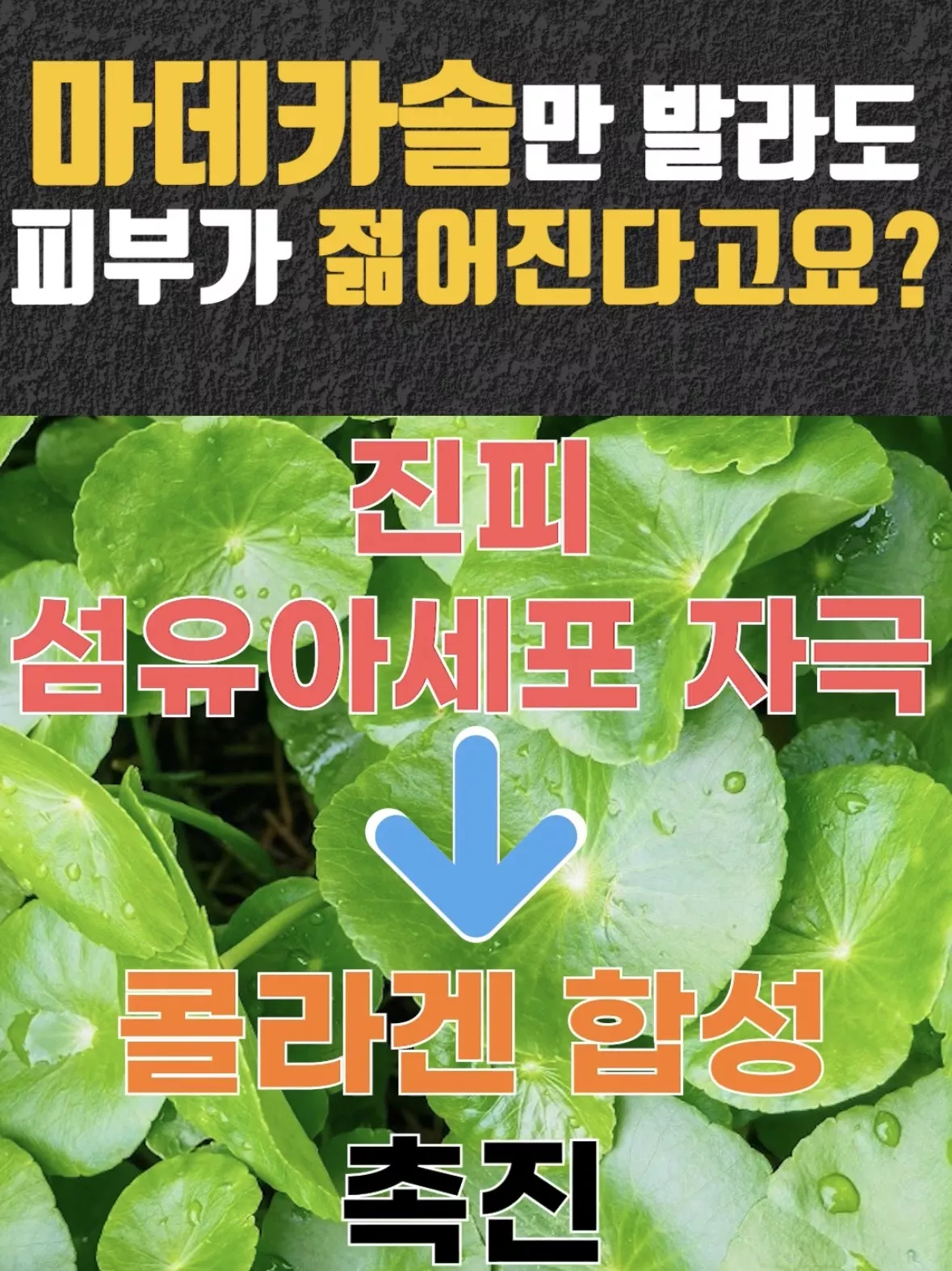 의사 피셜 ‘이거’ 바르면 피부가 젊어진다는 사실.jpg 2번째 사진