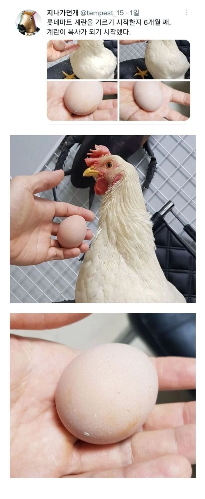 2.jpeg